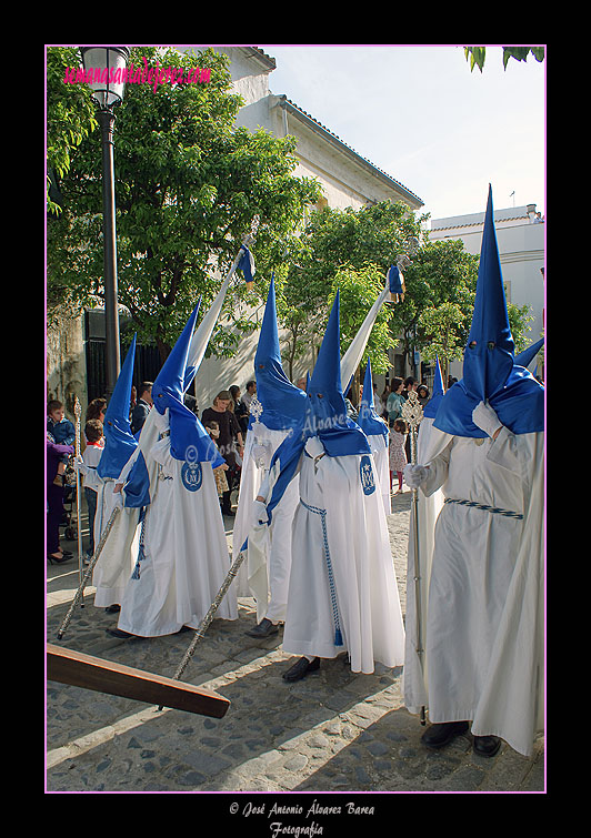 Presidencia de las Banderas de la Virgen de la Hermandad de Cristo Rey en su Triunfal Entrada en Jerusalén