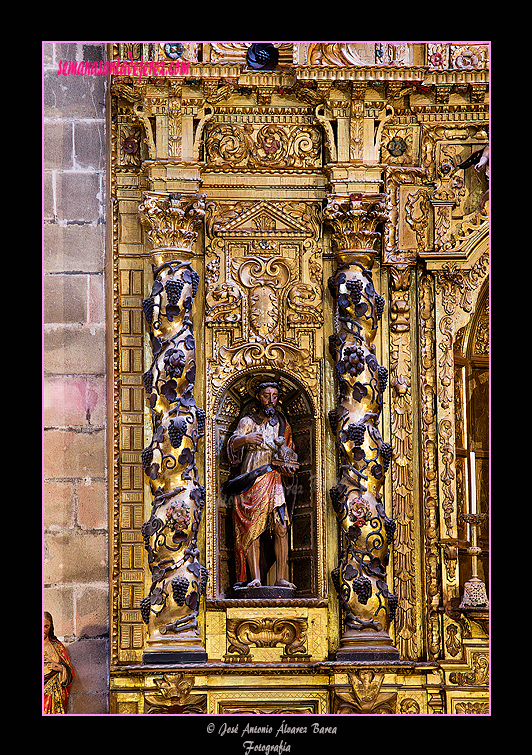 San Juan Bautista, uno de los patronos del Cabildo Colegial (Retablo de la Inmaculada del Voto, hoy de San Juan Grande - Santa Iglesia Catedral)
