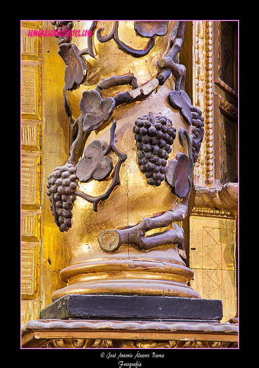 Detalle de la decoración de una de las columnas del retablo de la Inmaculada del Voto, hoy de San Juan Grande (Santa Iglesia Catedral)