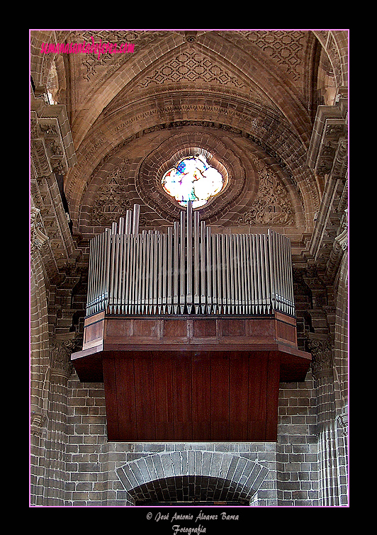 Órgano (Santa Iglesia Catedral)