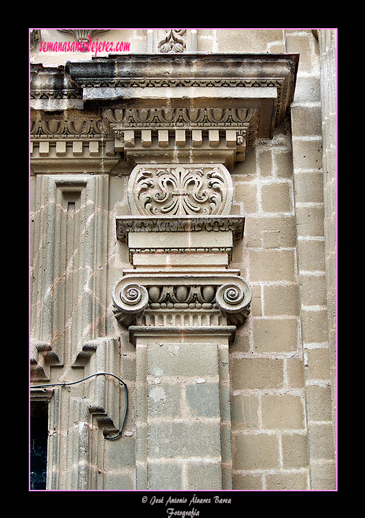 Pilastra jónica (Portada de la Visitación de la Santa Iglesia Catedral)