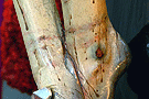 Detalle de los tobillos del Santísimo Cristo de la Viga (Obsérvese la  policromia de las marcas de las ataduras con cuerdas)