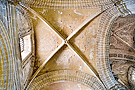 Bóveda del tramo anterior al del retablo del Cristo de la Viga (Santa Iglesia Catedral)