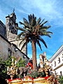 Detalle de la palmera del Paso de Misterio de Cristo Rey en su Entrada Triunfal en Jerusalén