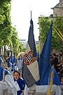 Nazareno portando el Banderín de la Federación Lasaliana Andaluza de la Hermandad de Cristo Rey en su Triunfal Entrada en Jerusalén