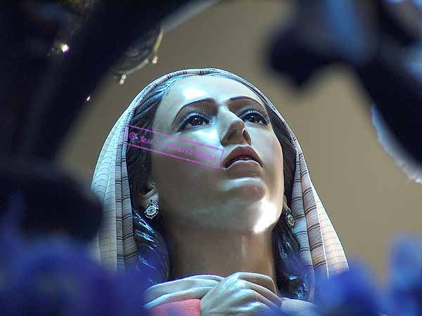 Santa Mujer Ver&oacute;nica (Paso de Misterio de Nuestro Padre Jes&uacute;s de las Misericordias)