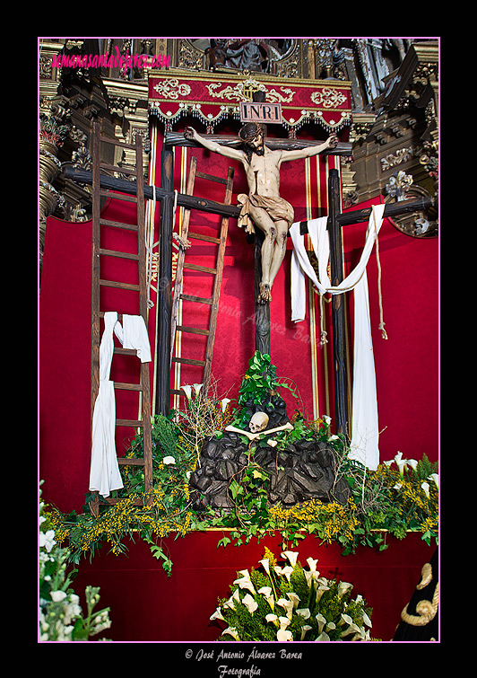 El Santísimo Cristo de la Salud en el fondo del Altar de Besamanos de María Santísima de los Dolores 2011