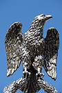 Aguila imperial que remata del asta del Senatus de la Hermandad de las Tres Caídas