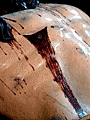 Detalle de la herida del costado del Santísimo Cristo de la Sagrada Lanzada