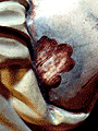 Detalle de la herida del costado izquierdo del Sant&iacute;simo Cristo de la Sagrada Lanzada