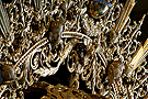 Algunos de los 12 querubines de marfil de la ráfaga de la corona de salida de María Santísima de la Encarnación