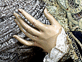 Mano izquierda de Mar&iacute;a Sant&iacute;sima de la Encarnaci&oacute;n
