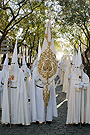 Nazareno portando el Estandarte de la Hermandad del Transporte