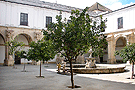 Claustro de la Basílica de Nuestra Señora de la Merced Coronada (actualmente pertenece al Instituto de Enseñanza Secundaria «Santa Isabel de Hungría») 