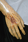 Mano derecha del Cristo de Nuestra Señora de las Angustias