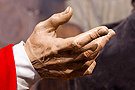 Mano derecha de San Judas Tadeo (Paso de Misterio de la Sagrada Cena)