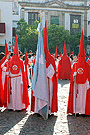 Nazareno portando la Bandera de la Virgen de la Hermandad de la Sagrada Cena
