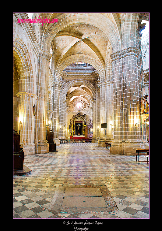 Nave del Evangelio (Santa Iglesia Catedral)