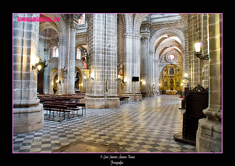 Vista de la nave de la Epístola desde la portada de la Sacristía Pontifical (Santa Iglesia Catedral)