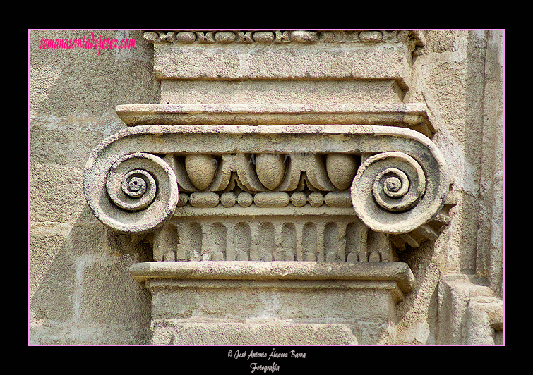 Detalle de pilastra jónica (Portada de la Encarnación de la Santa Iglesia Catedral)