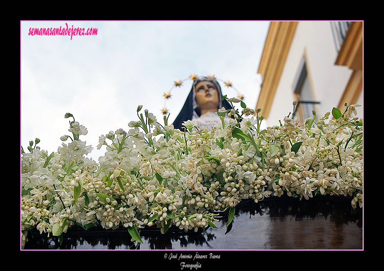 Azahar, tradicional exorno floral del paso de Nuestra Señora de Amor y Sacrificio