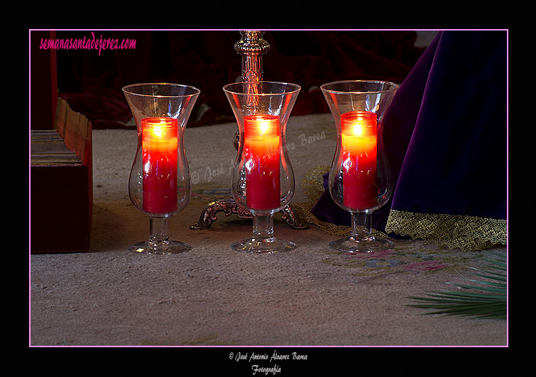 Tulipas en el Besamanos de Nuestra Señora Reina de los Ángeles 2011