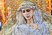 Besamanos de María Santísima de la Caridad (Iglesia de San Lorenzo Mártir - Cádiz). 4, 5 y 6 de septiembre de 2014