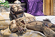 Besapiés del Santísimo Cristo Yacente (Iglesia del Sagrario de la Santa Cruz (Catedral Vieja) - Cádiz) - 31 de octubre de 2014