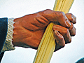 Mano izquierda de Santiago (Paso de Misterio de Cristo Rey en su Entrada Triunfal en Jerusalén)