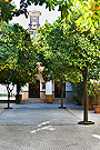 Escuela de San José