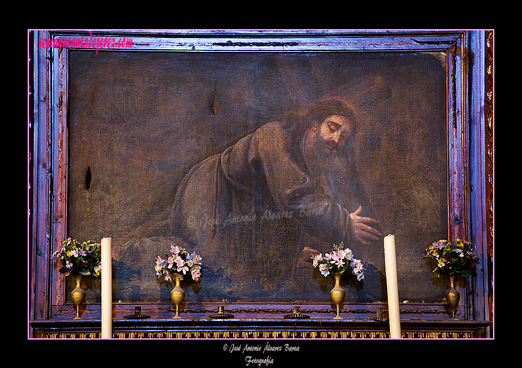 Lienzo del Nazareno Caído (Santa Iglesia Catedral)
