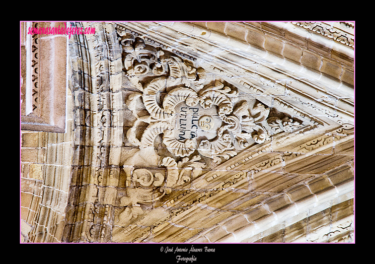 Detalle de la bóveda sobre la puerta de la Encarnación (Santa Iglesia Catedral)