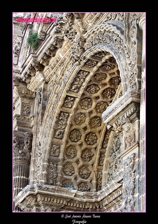 Dintel de la Puerta Principal de la Santa Iglesia Catedral