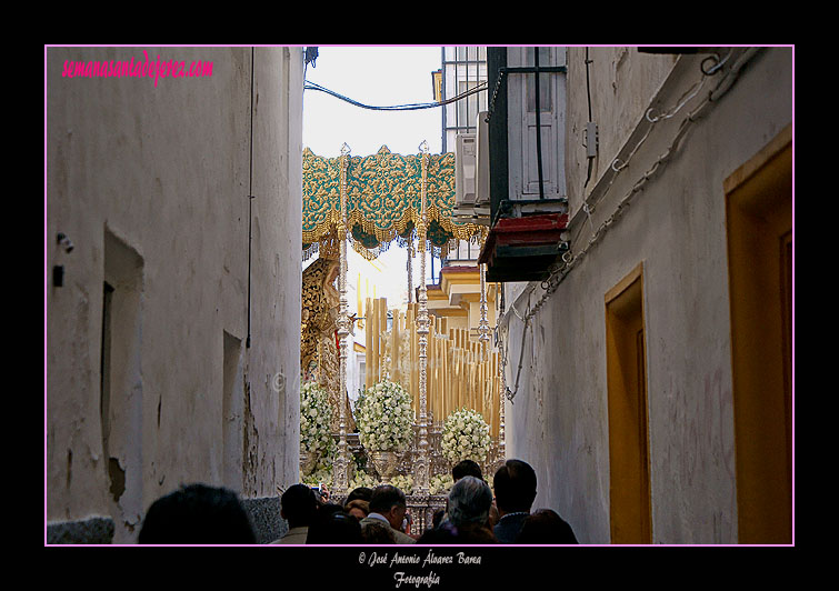 Paso de Palio de María Santísima de la Amargura