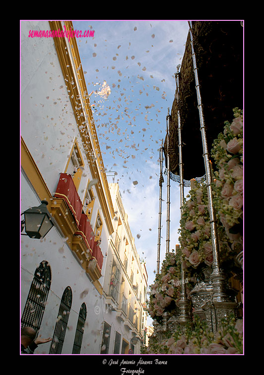 Petalada sobre el Paso de Palio de Nuestra Señora del Mayor Dolor 