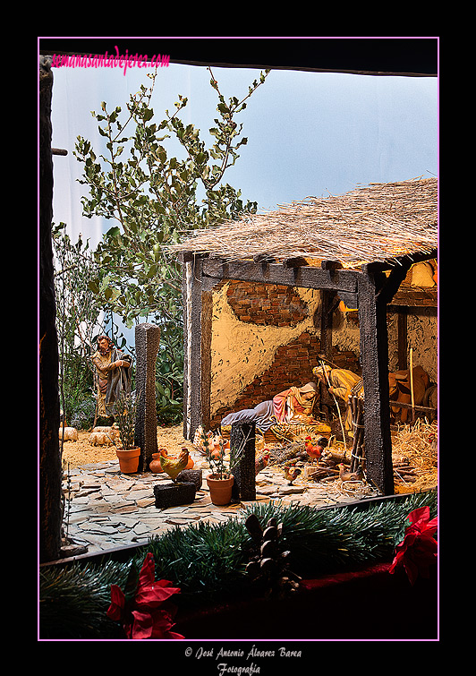 Belén 2011 - Casa Hermandad del Mayor Dolor (3º Premio del Concurso de Nacimientos)