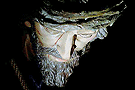 Rostro de Nuestro Padre Jesús de la Vía Crucis