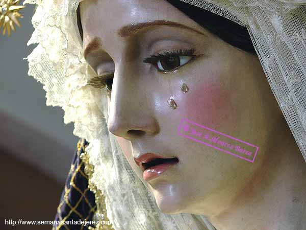 Mar&iacute;a Sant&iacute;sima de la Concepci&oacute;n