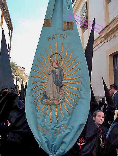 Bandera Concepcionista de la Hermandad del Cristo de la Expiración