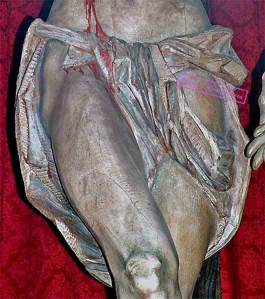 Pa&ntilde;o de pureza del Cristo (Sagrado Descendimiento)