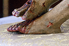 Pie izquierdo del Señor del Santo Entierro
