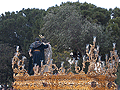 Paso de Misterio del Santísimo Cristo de la Clemencia en la Traición de Judas