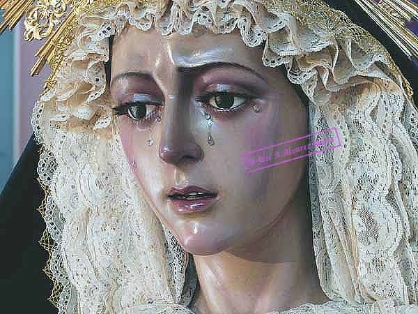 Mar&iacute;a Sant&iacute;sima Madre de la Iglesia