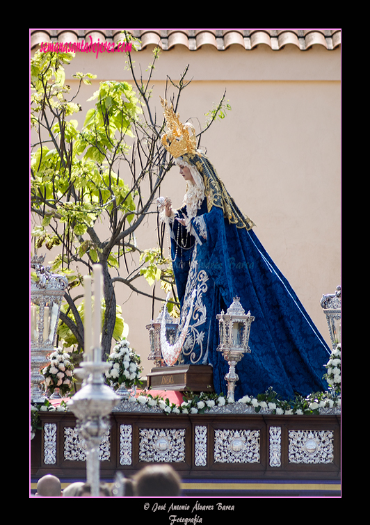 Procesión de Angustia de María, Madre de la Iglesia