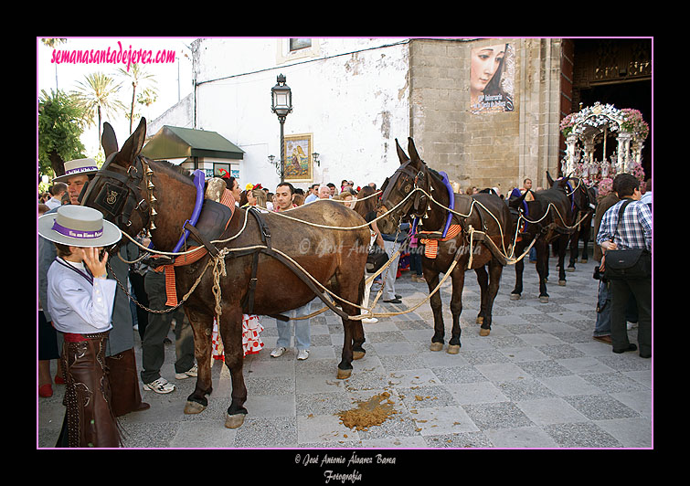 Salida de la Hermandad del Rocío de Jerez de la Frontera