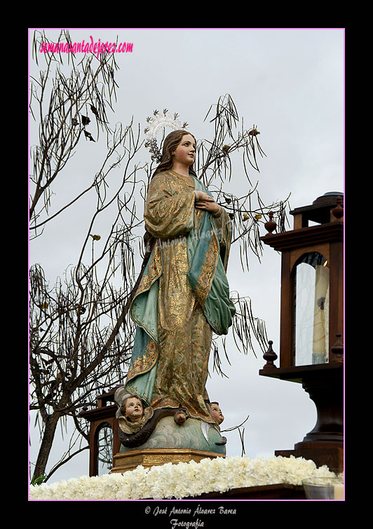 Procesión de la Inmaculada Concepción (Parroquia de los Dolores)