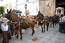 Salida de la Hermandad del Rocío de Jerez de la Frontera