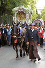 Carreta del Simpecado de la Hermandad del Rocío de Jerez de la Frontera