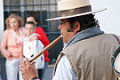 Regreso de la Hermandad del Rocío de Jerez de la Frontera