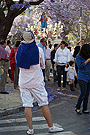 Procesion de María Auxiliadora (Montealto)